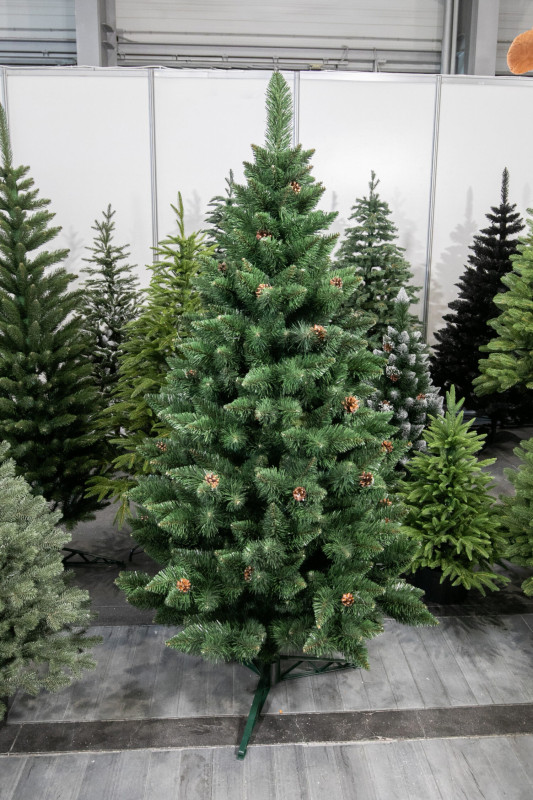 Vianočný stromček Borovica GLORIA 180 cm