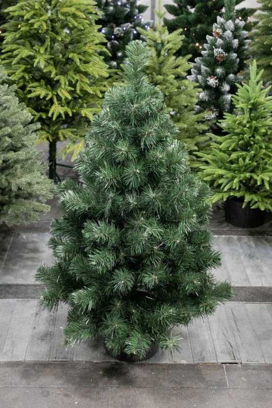 Vianočný stromček v kvetináči Borovica FREYA 110 cm