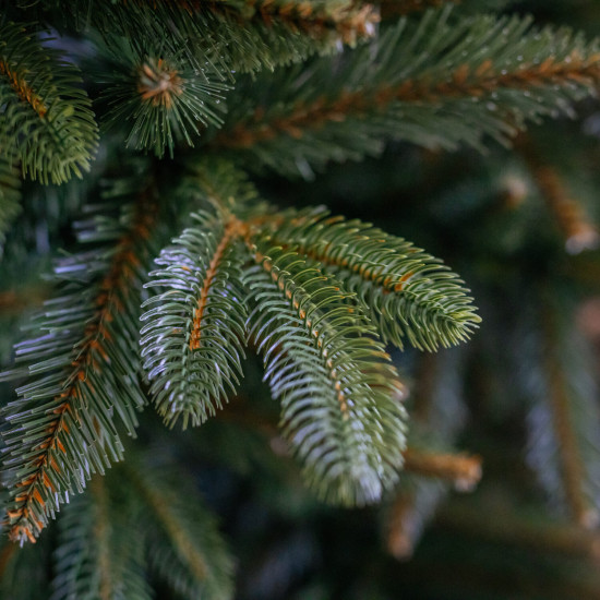 Vianočný stromček Smrek NOEL 220 cm