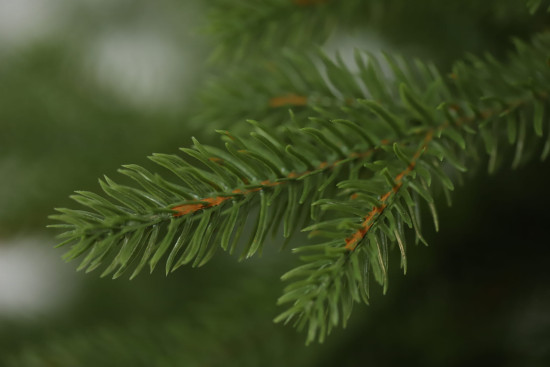 Umelý vianočný stromček Prírodný Smrek LUXURY 220 cm