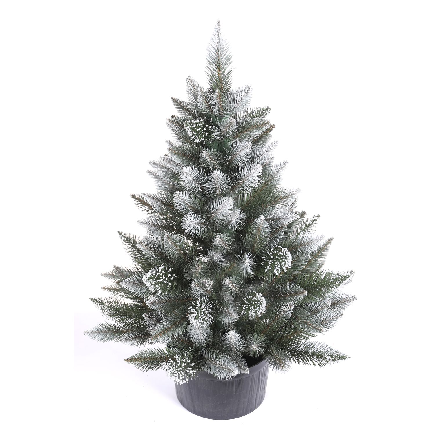 Vianočný stromček v kvetináči Smrek MONTANA 80 cm