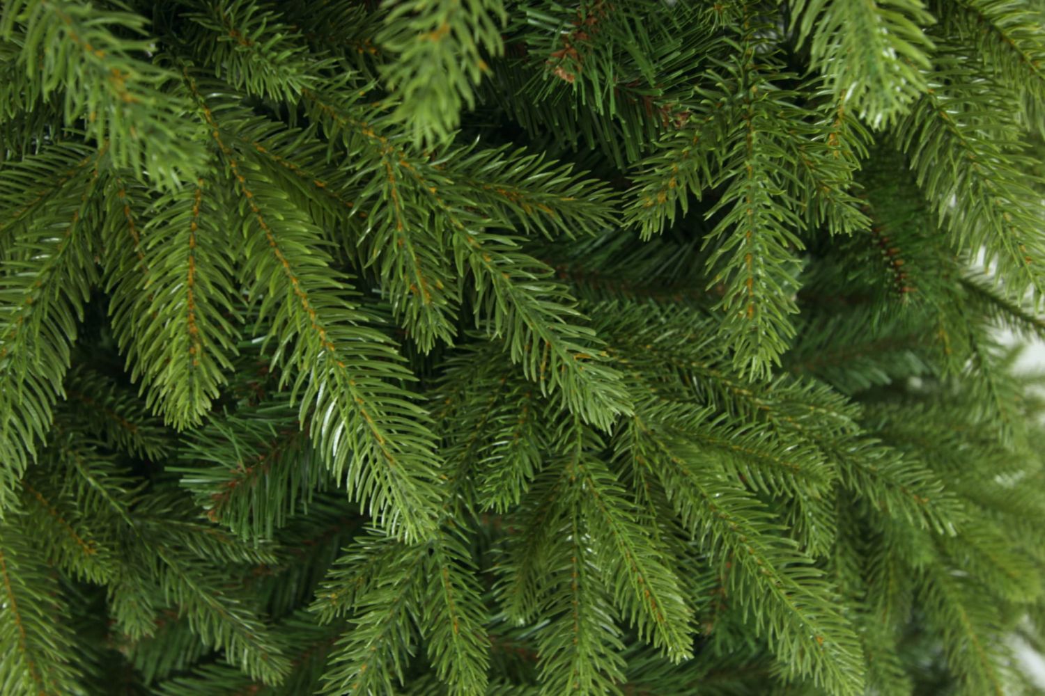 Umelý stromček Prírodný smrek ROYAL 250 cm