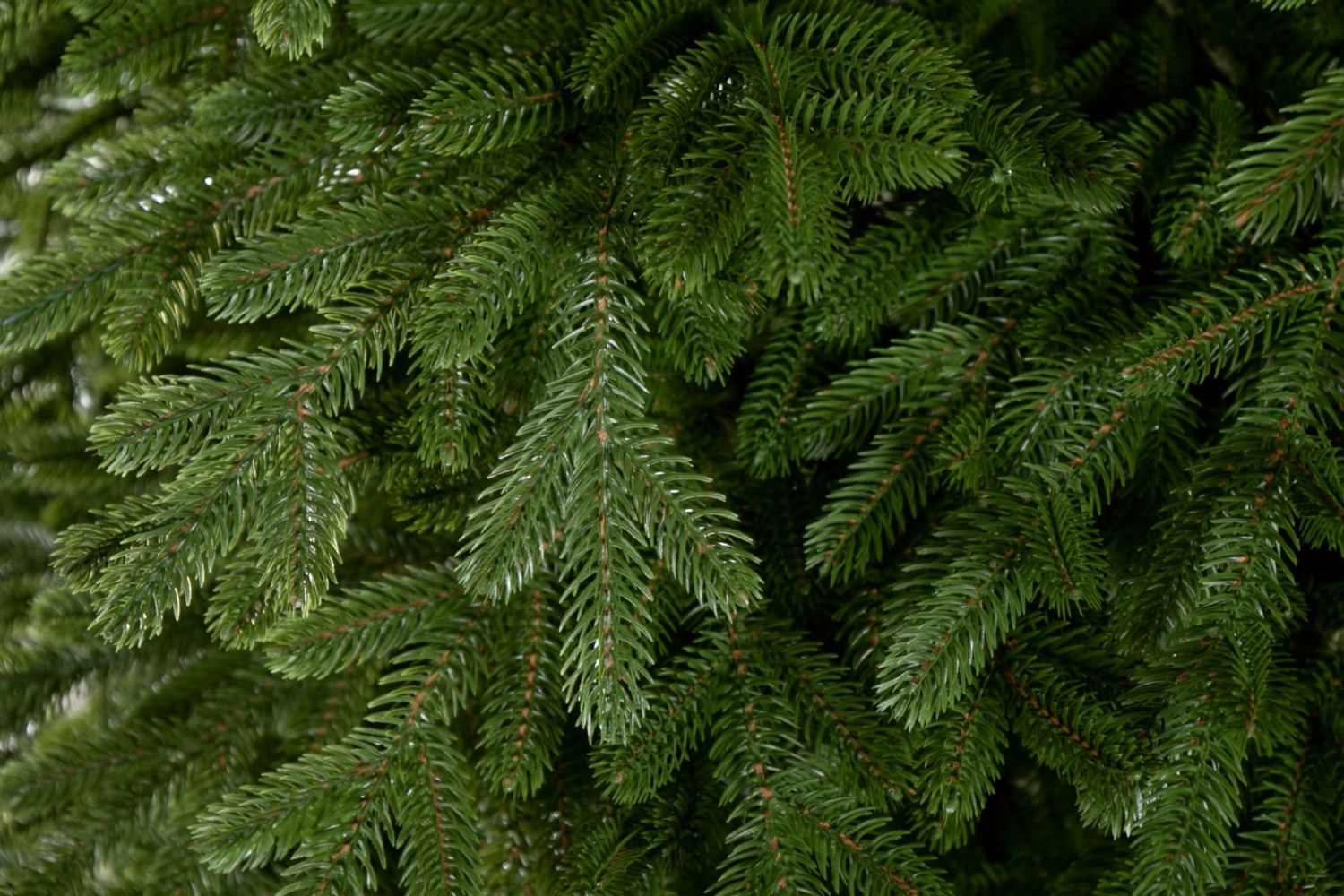 Umelý vianočný stromček Prírodný Smrek LUXURY 220 cm