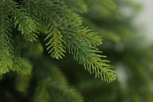 Umelý stromček Smrek NATURA 250 cm