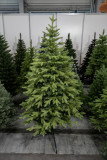 Vianočný stromček Smrek NORDIC 220 cm
