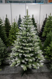 Vianočný stromček Smrek IMPERIAL 220 cm