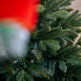 Vianočný stromček Smrek NOEL 300 cm