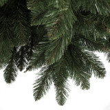 Vianočný stromček Borovica LYRA 250 cm