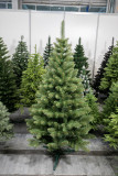 Vianočný stromček Borovica LYRA 220 cm
