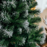 Vianočný stromček Jedľa FROSTY 250 cm