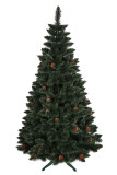 Vianočný stromček Borovica GLORIA 220 cm