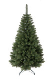 Vianočný stromček Borovica LYRA 250 cm