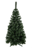 Vianočný stromček Borovica STELLA 180 cm