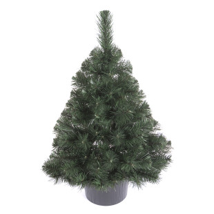 Vianočný stromček v kvetináči Borovica FREYA 80 cm