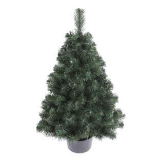 Vianočný stromček v kvetináči Borovica FREYA 110 cm