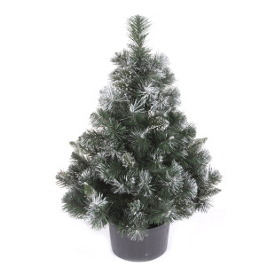Vianočný stromček v kvetináči Borovica EIRA 80 cm