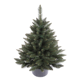 Vianočný stromček v kvetináči Smrek SKANDI 80 cm