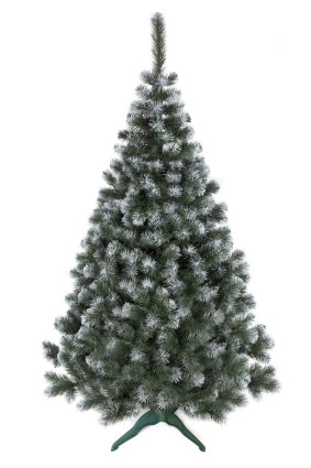 Vianočný stromček Jedľa FROSTY 250 cm